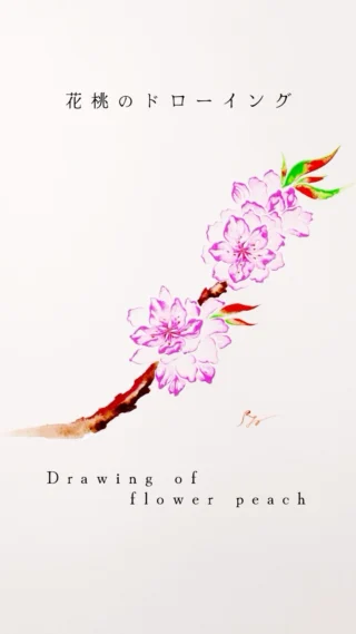 普段は人形彩色作家として季節の花や物語を人形に描いていますが、趣向を変えトライアルとして、お節句に馴染み深い花桃を水彩を用いて紙にドローイングします🎨

楽しんで観ていただければ幸いです✨

雛人形、五月鎧兜、五月人形に、
手描きで鮮やかな絵を施し、
お生まれになったお子様の成長、
そして教養の育みを願った作品を
製作しております✨

当社取扱、磊楽人形工房、
石川潤平、鶴屋半兵衛、力石甲人
総手描彩色については
各取扱店舗様を紹介いたします。

お気軽にお問い合わせ下さいませ。

#磊楽人形工房 #花 #イラスト
#桃 #絵