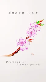 普段は人形彩色作家として季節の花や物語を人形に描いていますが、趣向を変えトライアルとして、お節句に馴染み深い花桃を水彩を用いて紙にドローイングします🎨

楽しんで観ていただければ幸いです✨

雛人形、五月鎧兜、五月人形に、
手描きで鮮やかな絵を施し、
お生まれになったお子様の成長、
そして教養の育みを願った作品を
製作しております✨

当社取扱、磊楽人形工房、
石川潤平、鶴屋半兵衛、力石甲人
総手描彩色については
各取扱店舗様を紹介いたします。

お気軽にお問い合わせ下さいませ。

#磊楽人形工房 #花 #イラスト
#桃 #絵